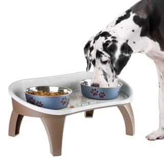 Dog Feeders Waterers Find Great Supplies Deals Ping At Petmkaer Elevated Pet Feeding Tray