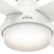 preview thumbnail 6 of 9, Hunter Dempsey 44-in. Low-profile Ceiling Fan w/ LED Light Kit and Remote - Fresh White
