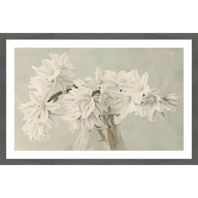 'White Narcissus' Framed Painting Print