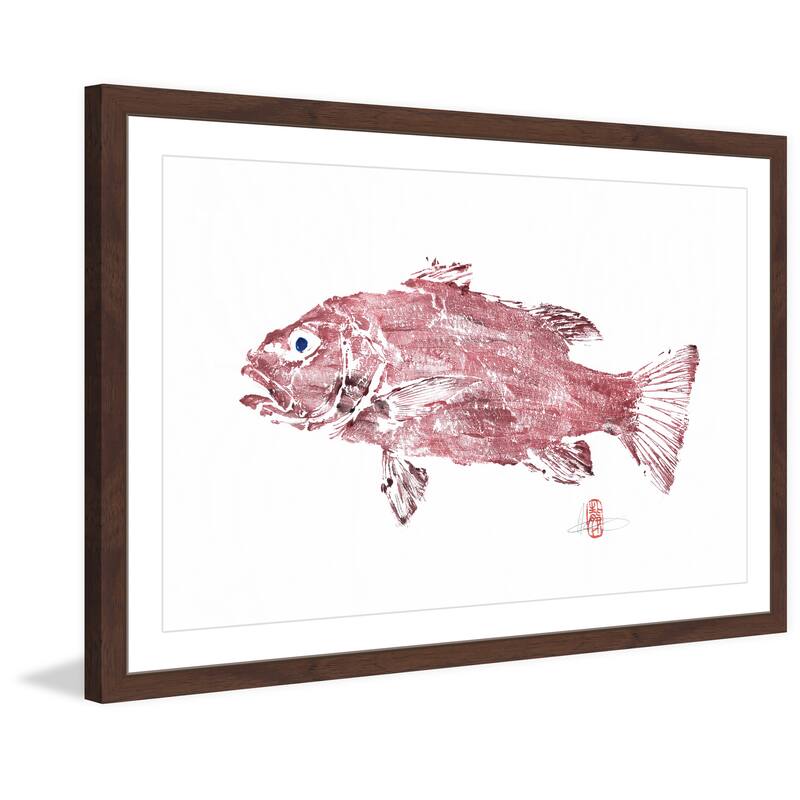 'Cubera Snapper' Framed Painting Print