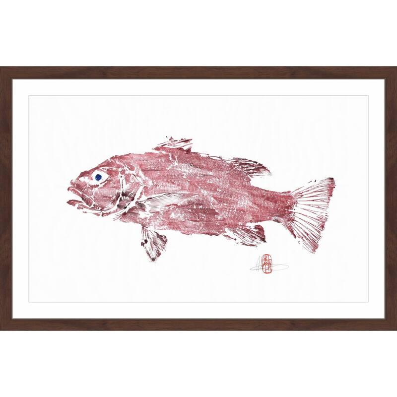 'Cubera Snapper' Framed Painting Print
