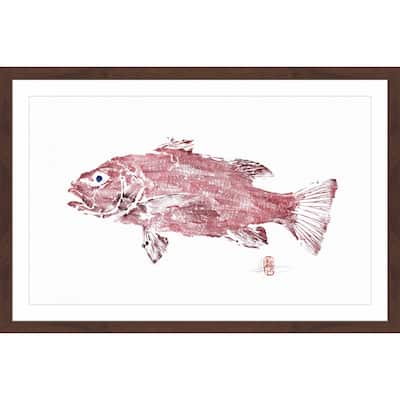 'Cubera Snapper' Framed Painting Print