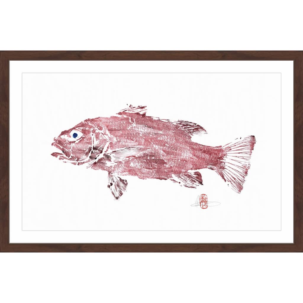 'Cubera Snapper' Framed Painting Print
