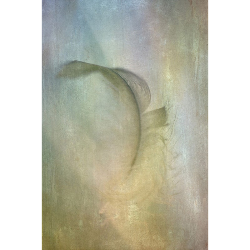 'Falling Feather' Painting Print on Wrapped Canvas - Multi-Color