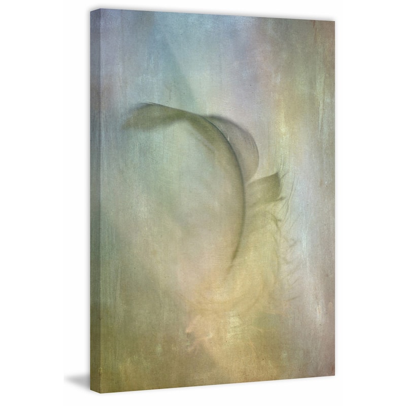 'Falling Feather' Painting Print on Wrapped Canvas - Multi-Color