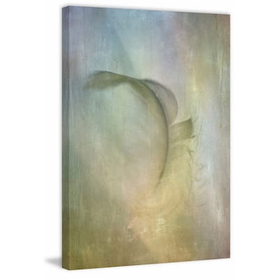 'Falling Feather' Painting Print on Wrapped Canvas - Multi-Color