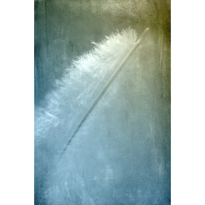 'White Feather' Painting Print on Wrapped Canvas - Multi-Color
