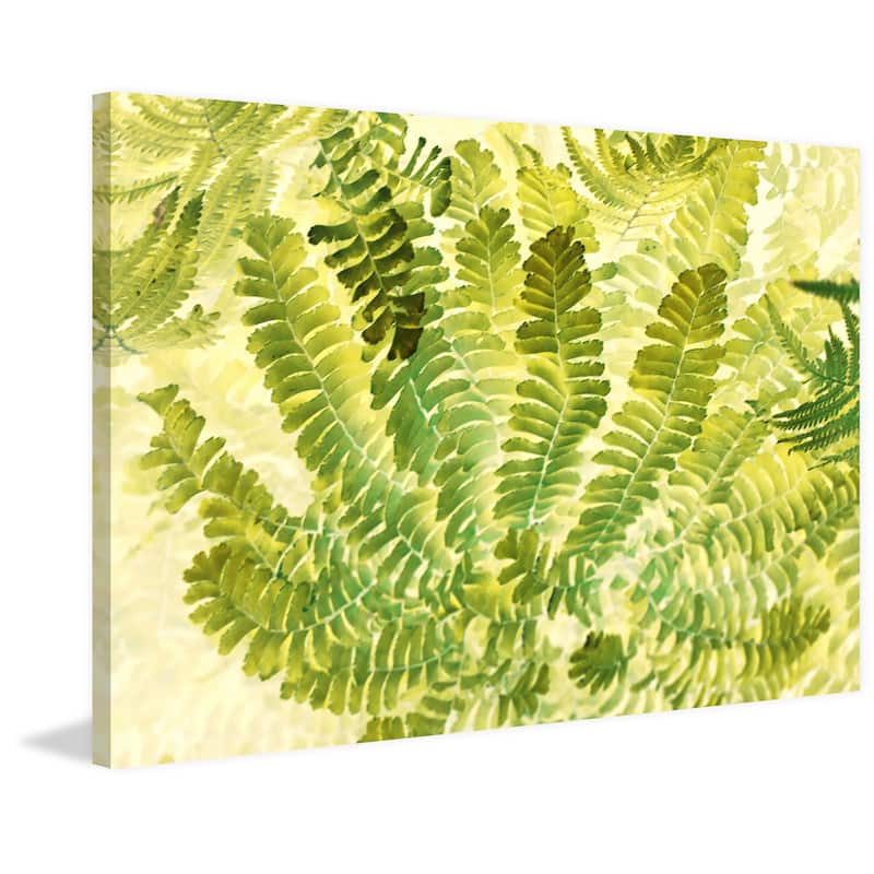 'Fern Fantasy I' Painting Print on Wrapped Canvas - Multi-Color