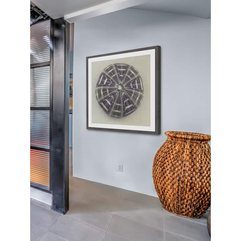 'Sea Urchin Shell' Framed Painting Print