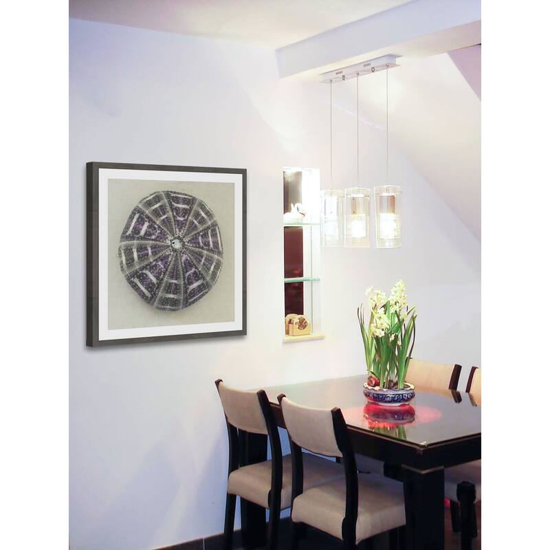 'Sea Urchin Shell' Framed Painting Print