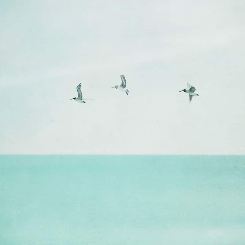 '3 Seagulls' Painting Print on Wrapped Canvas - Blue