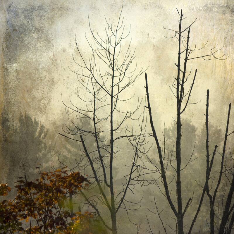'Before the First Snow' Painting Print on Wrapped Canvas - Multi-Color