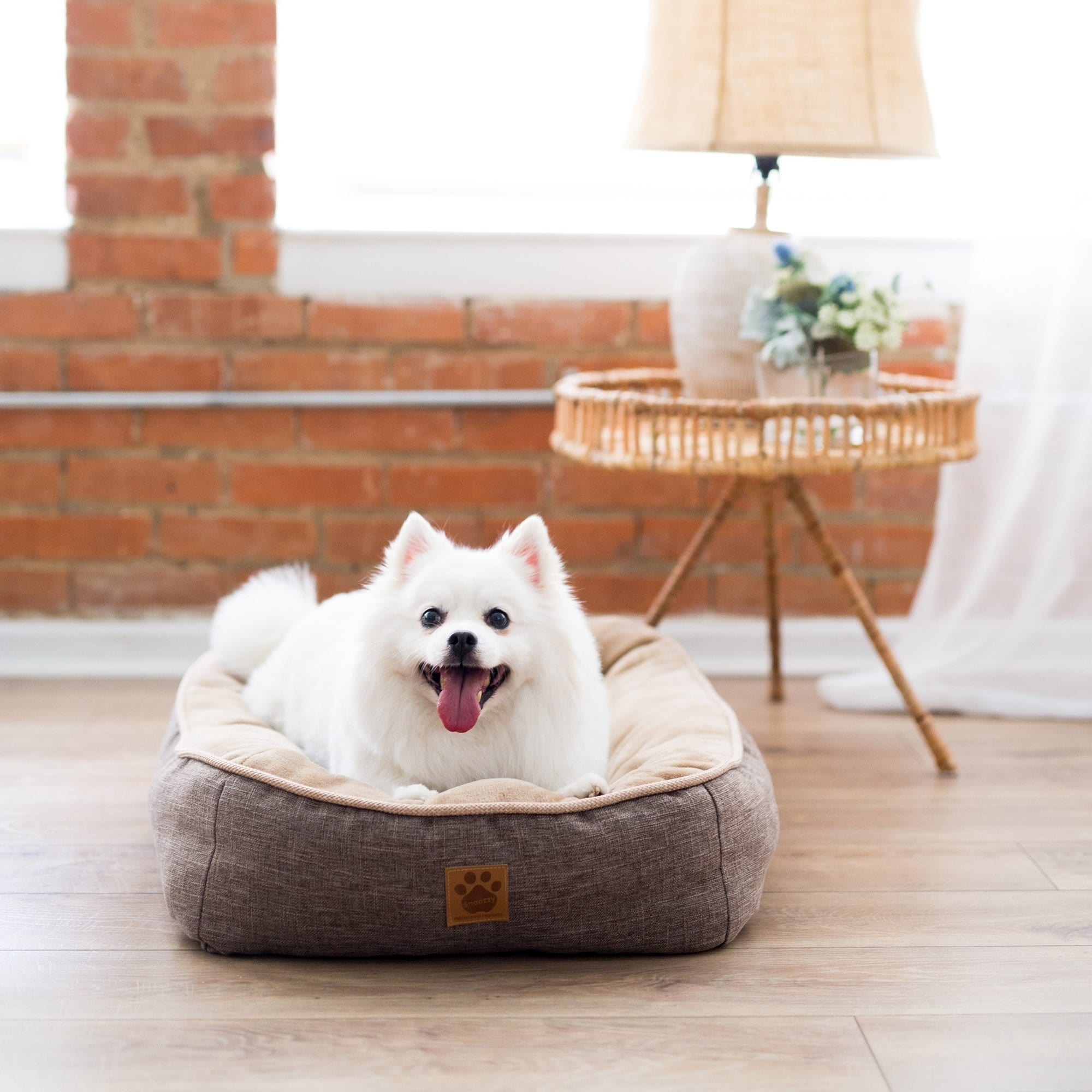 Ugg bed bath and beyond clearance dog