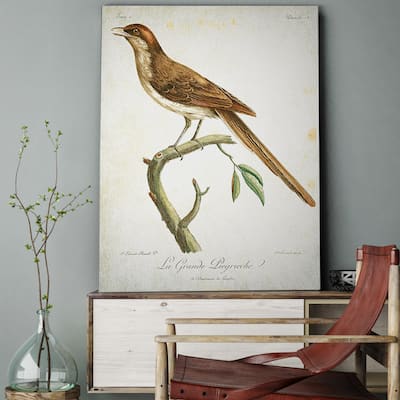 Wexford Home 'Aviary Sketch XXIVIII' Canvas Wall Art