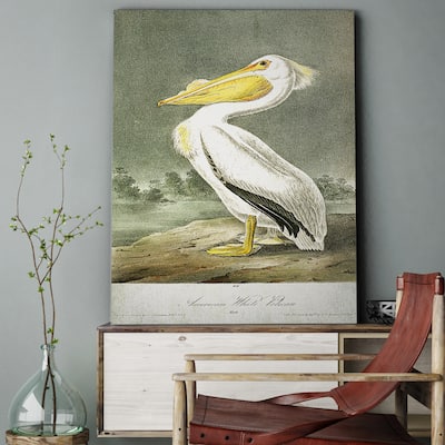 Wexford Home 'American White Pelican' Gallery-wrapped Canvas Wall Art