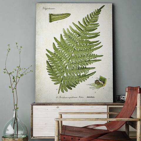 Wexford Home 'Botanical Plate XXII' Canvas Wall Art