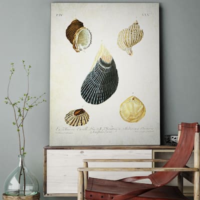 Wexford Home 'Seashell III' Wall Art