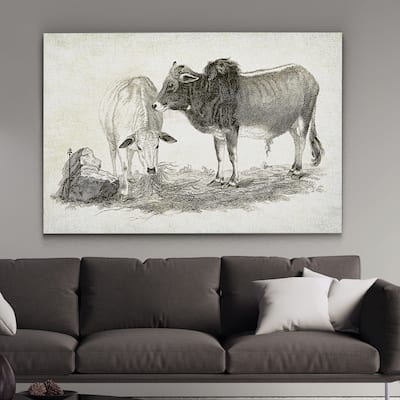 Wexford Home 'Cattle Sketch VI' Gallery-wrapped Canvas Wall Art