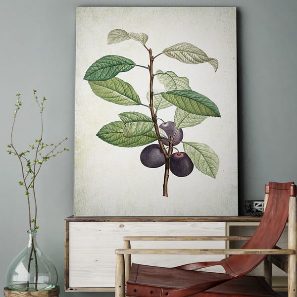 slide 1 of 4, 'Botanical Sketch XXV' Gallery-wrapped Canvas Art