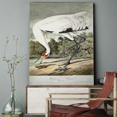 'Whooping Crane' Gallery-wrapped Canvas Art