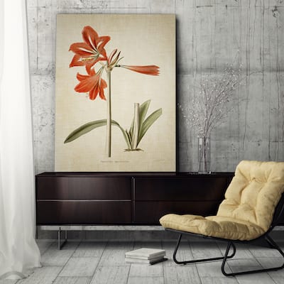 Wexford Home 'Botanical Plate II' Gallery Wrapped Canvas