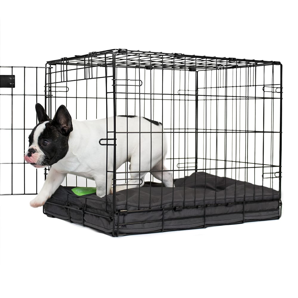 orthopedic dog crate pad