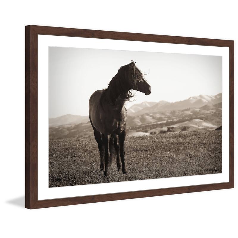 'Horse in Wind' Framed Painting Print