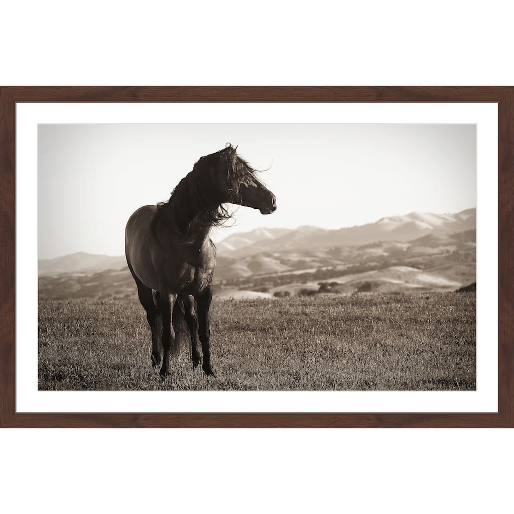 'Horse in Wind' Framed Painting Print