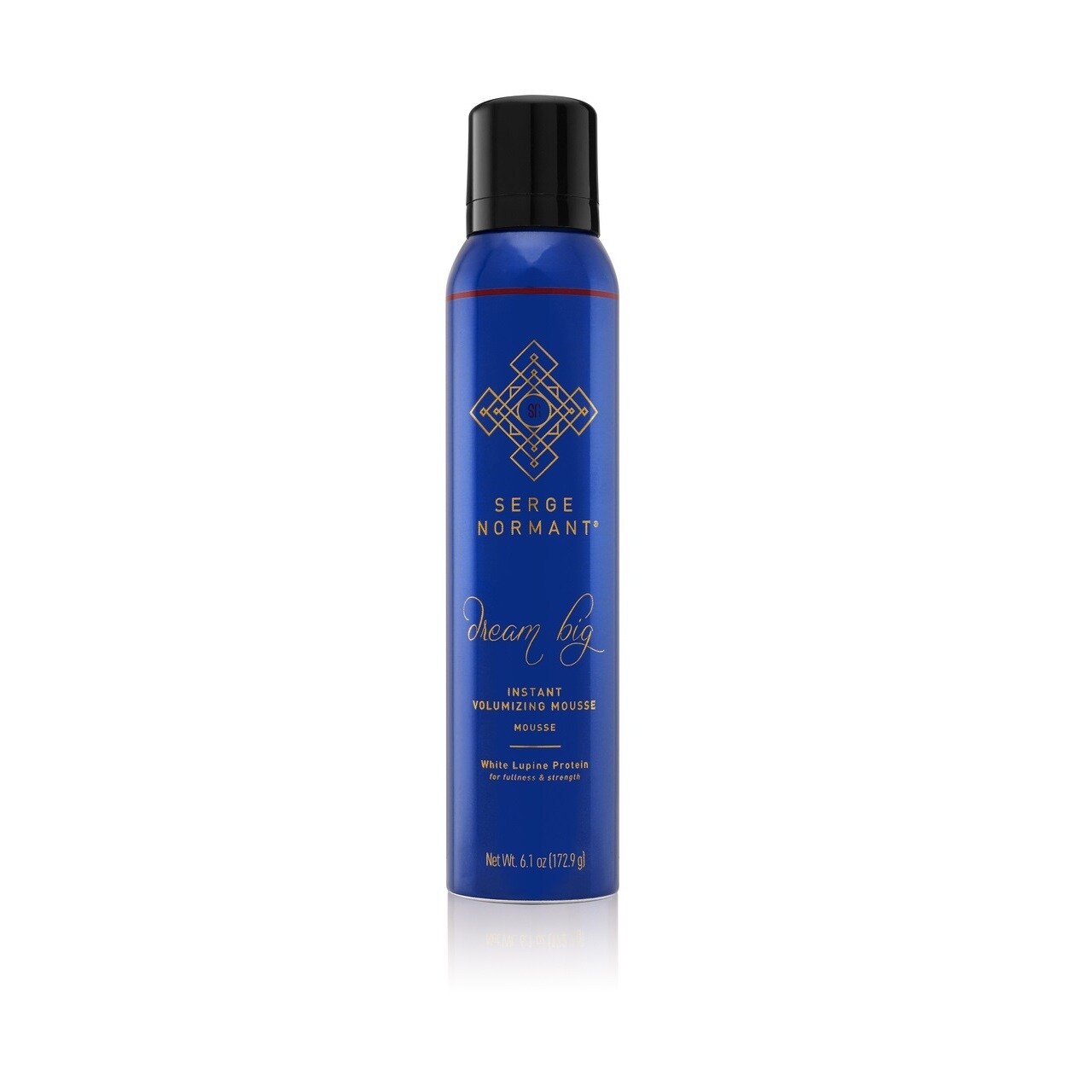 Shop Serge Normant Dream Big Instant 6 1 Ounce Volumizing Mousse