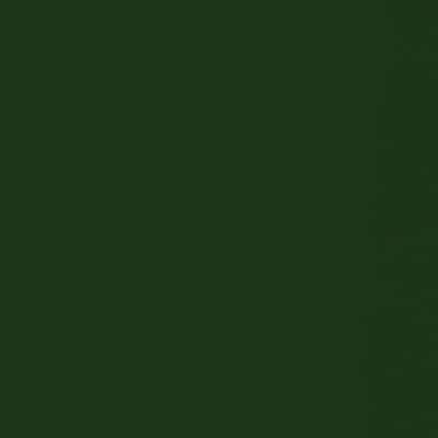 Twin Size Hunter Green Futon Mattress