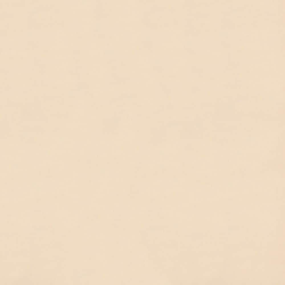 Twin Size Ivory Futon Mattress