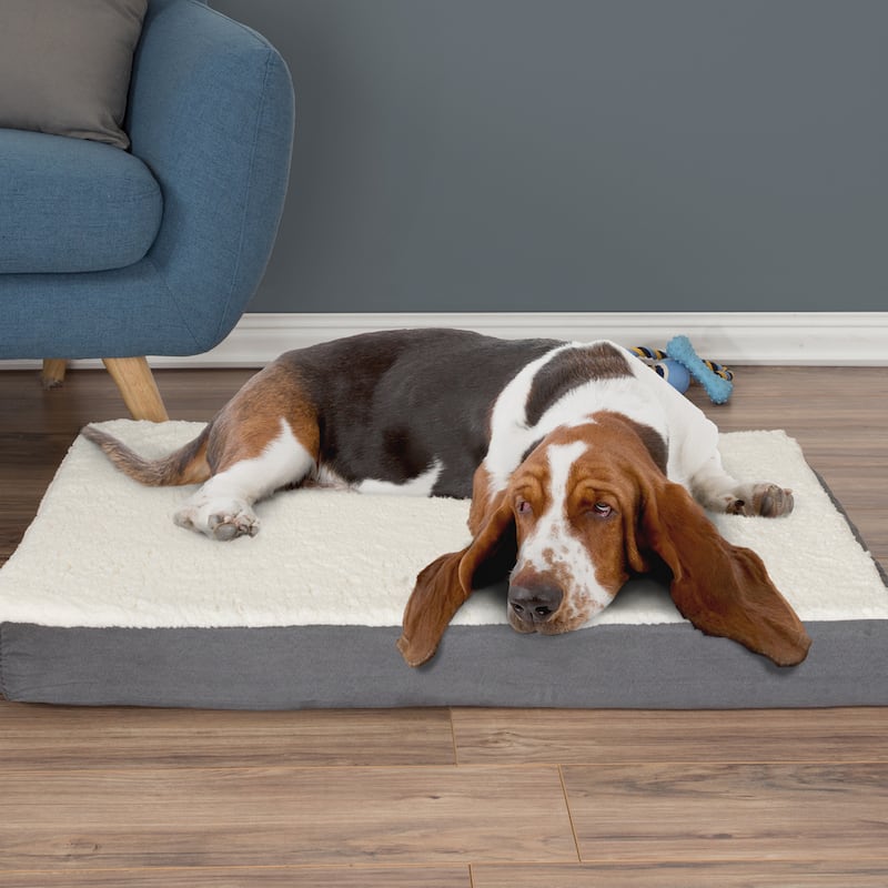 2-Layer Orthopedic Memory Foam Dog Bed with Machine Washable Sherpa Cover