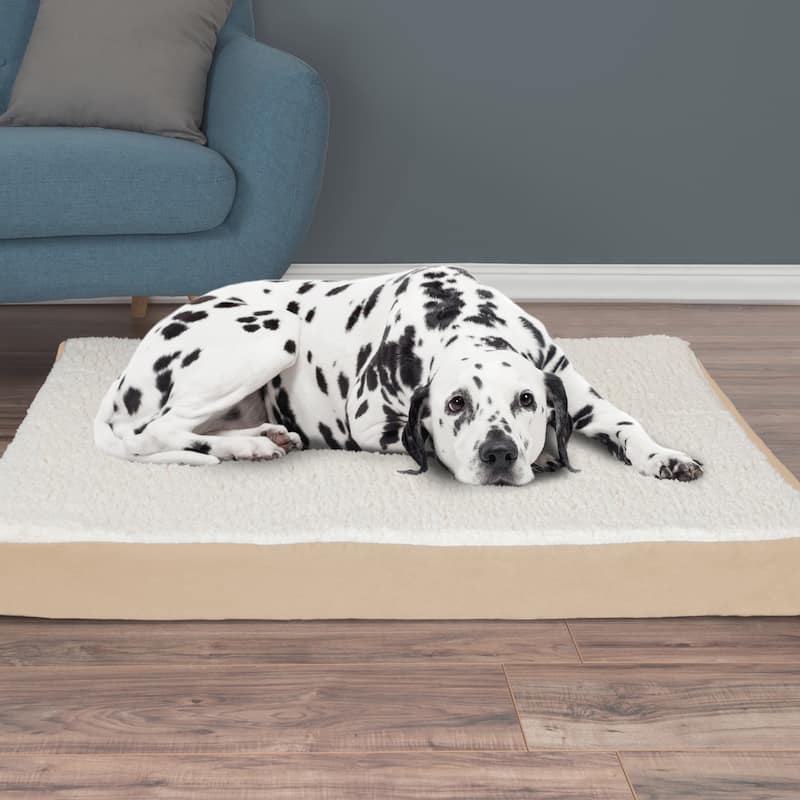 2-Layer Orthopedic Memory Foam Dog Bed with Machine Washable Sherpa Cover