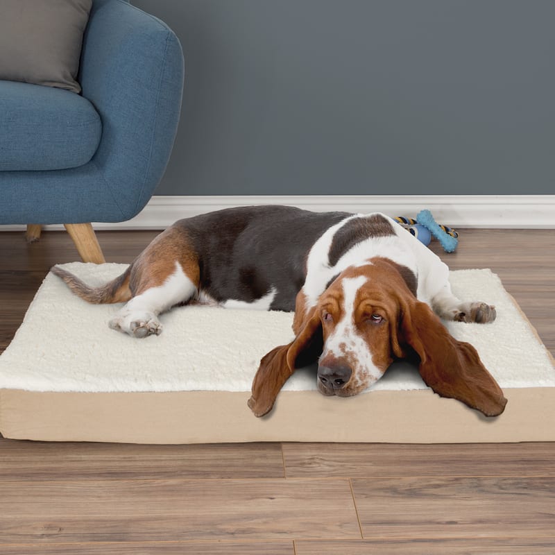 2-Layer Orthopedic Memory Foam Dog Bed with Machine Washable Sherpa Cover