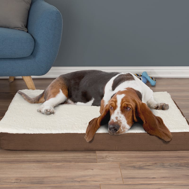 2-Layer Orthopedic Memory Foam Dog Bed with Machine Washable Sherpa Cover