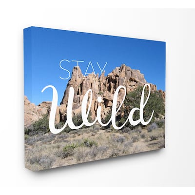 Stupell 'Stay Wild' Desert Landscape Stretched Canvas Wall Art