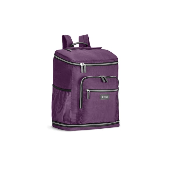 biaggi zipsak backpack