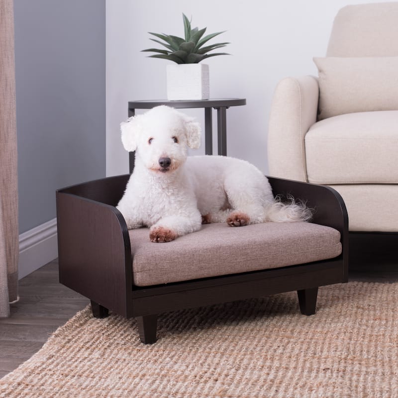 Studio Designs Paws and Purrs Raised Pet Bed - EXPRESSO