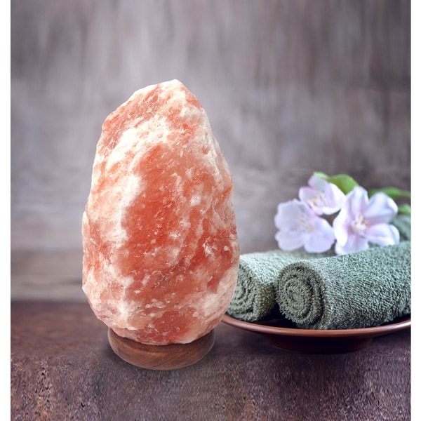 Himalayan salt lamp bed store bath and beyond