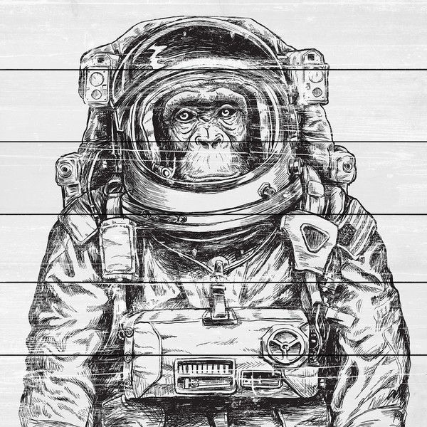 Marmont Hill - Handmade Space Monkey Painting Print on White Wood