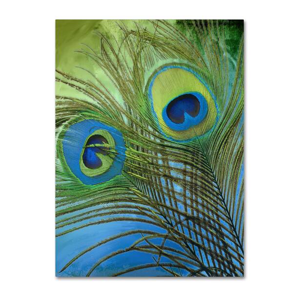 Color Bakery 'Peacock Candy I' Canvas Art - Green - - 14768855