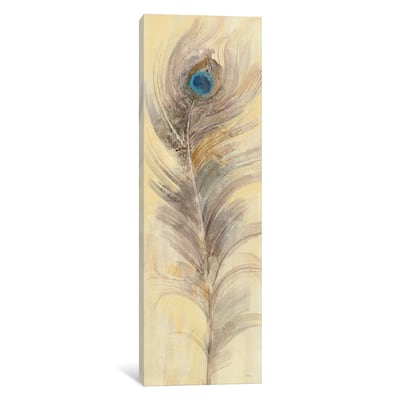 iCanvas 'Blue Eyed Feathers III' by Albena Hristova Canvas Print