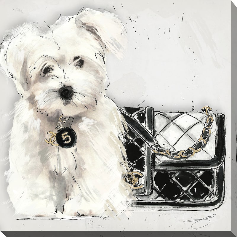 BY Jodi 'Coco pup' Giclee Stretched Canvas Wall Art