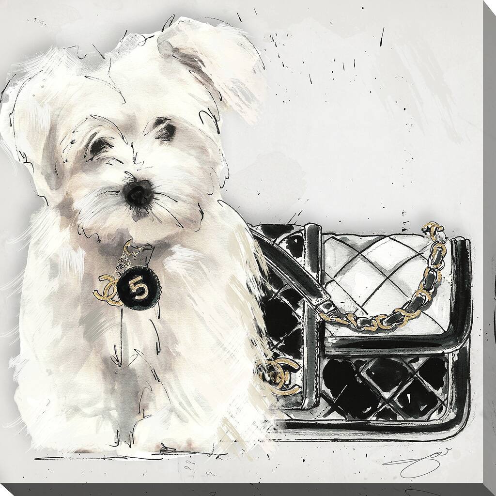 BY Jodi 'Coco pup' Giclee Stretched Canvas Wall Art