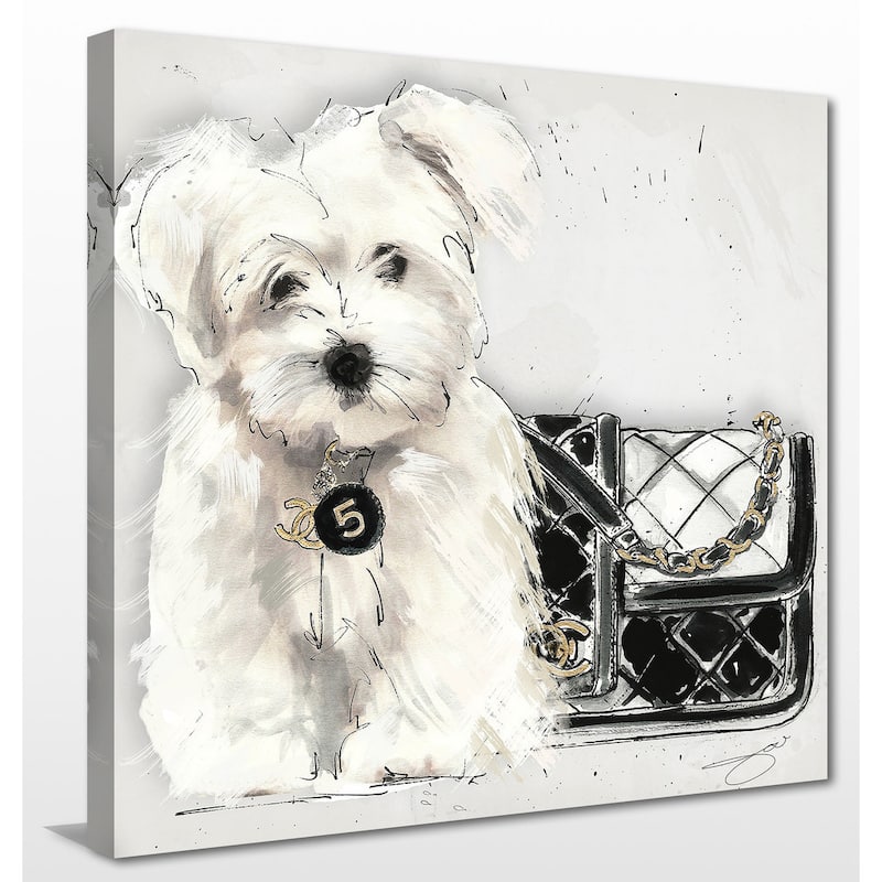 BY Jodi 'Coco pup' Giclee Stretched Canvas Wall Art
