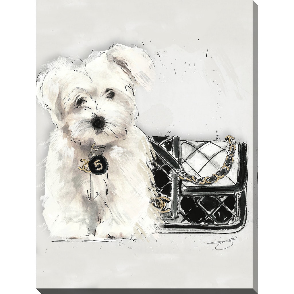 BY Jodi "Coco pup" Giclee Stretched Canvas Wall Art