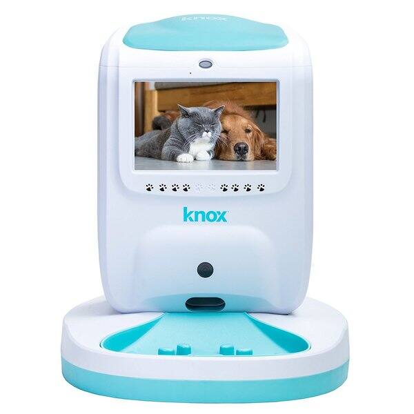 Shop Knox Wi Fi Automatic Pet Feeder With Two Way Video Audio