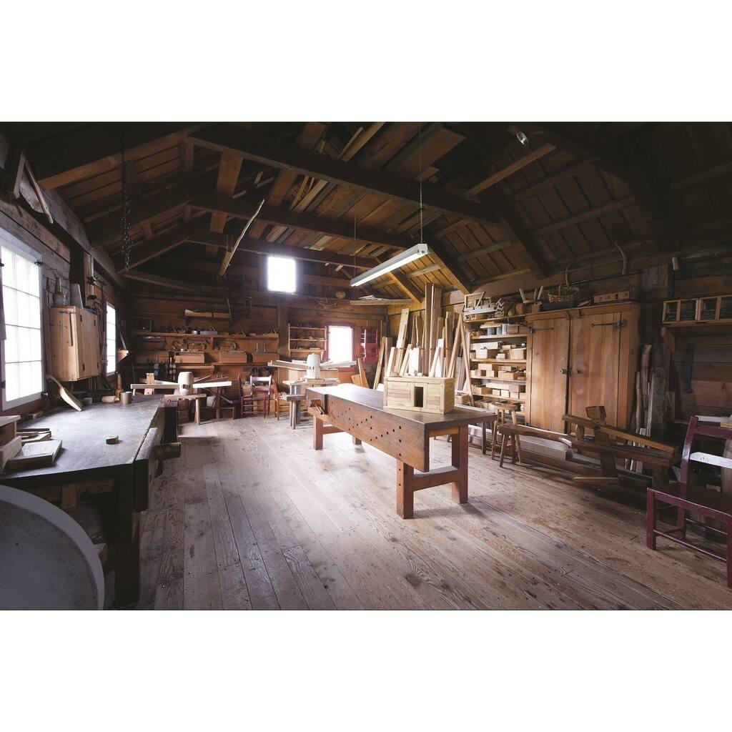 Lithonia Lighting 1233 CW 232 2-Light Cold Weather White T8 Fluorescent Residential Shop Light