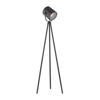 Dimond Lighting Zoot Oil-rubbed Bronze Finish Metal Floor Lamp