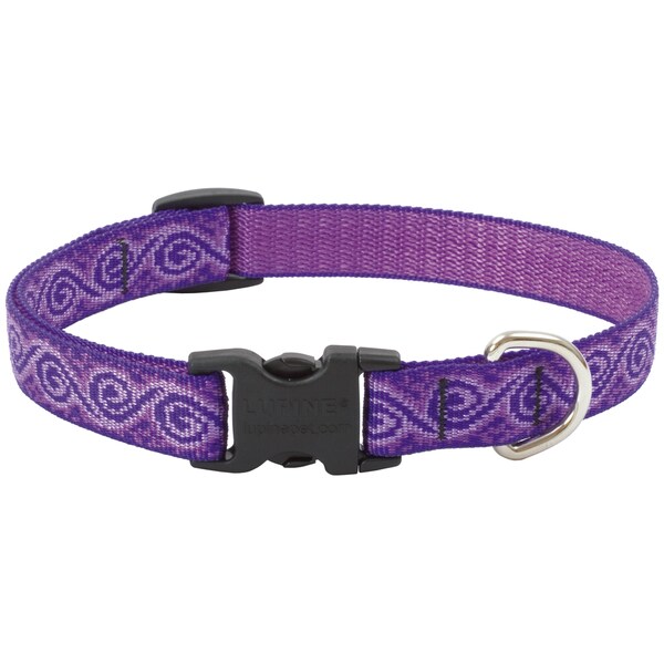 purple dog leads